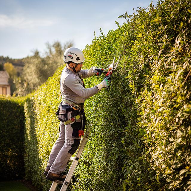 Operatore che pota una siepe alta con attrezzatura di sicurezza in un giardino privato luminoso